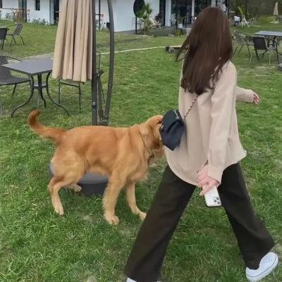 又是圣诞